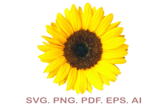 Sunflower SVG: Real-World Embroidery Review